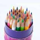 中华牌 6300 彩色铅笔36色桶装 配 单位：盒